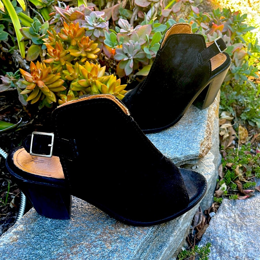 Frye Booties